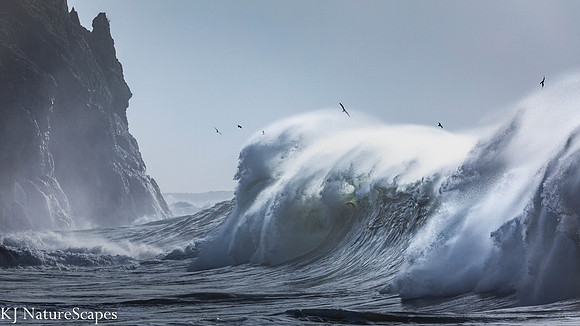 Riding the King Tides