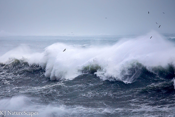 Riding the waves