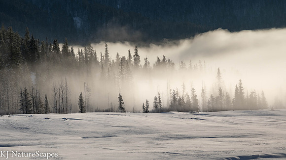 Foggy Morning at White River