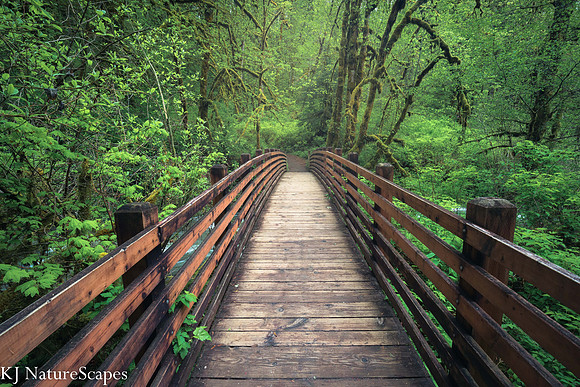 McDowell Creek Bridge