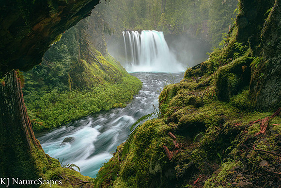 Looking thru to Koosah Falls